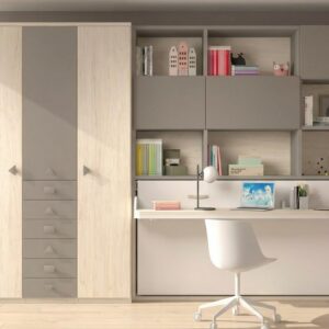 HABITACION CON CAMA ABATIBLE Y ARMARIO