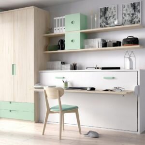 HABITACION CON CAMA ABATIBLE RMB.