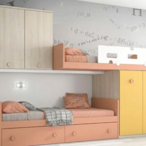 Litera tipo tren Prime Plus.