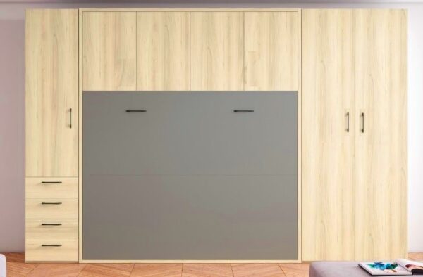1 composicion con cama abatible (1)