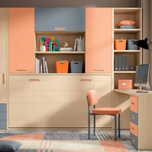 COMPOSICION CON CAMA ABATIBLE YBN.