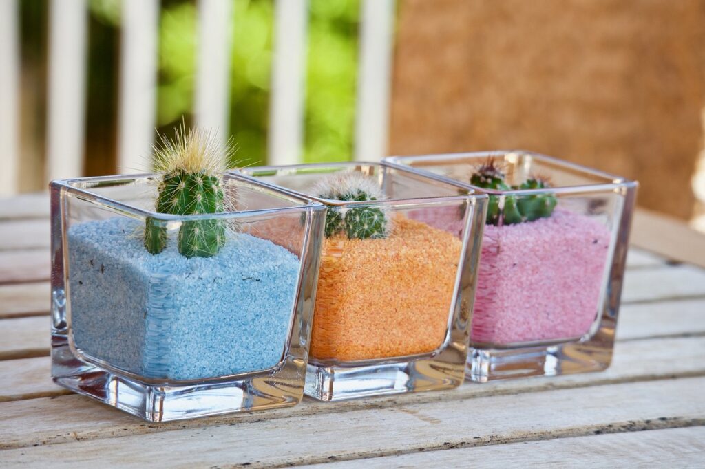 Tres bonitos cactus de arena de colores para decorar con plantas tu casa.